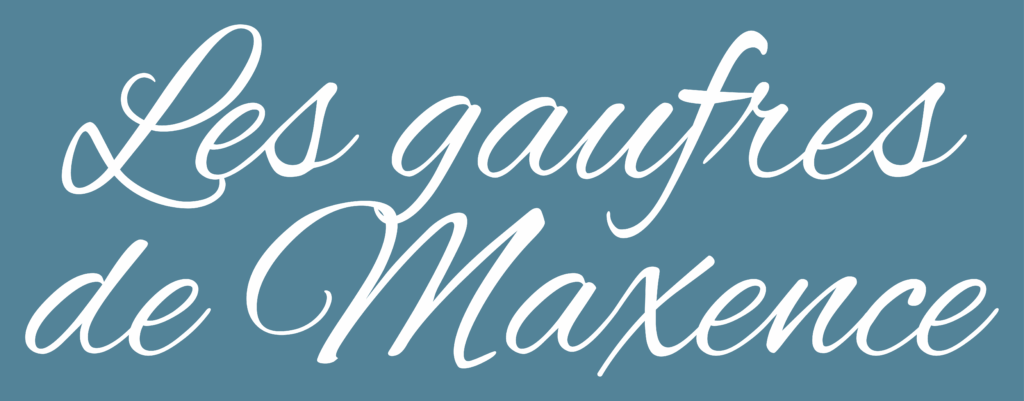 Logo Site Internet Les gaufres de Maxence